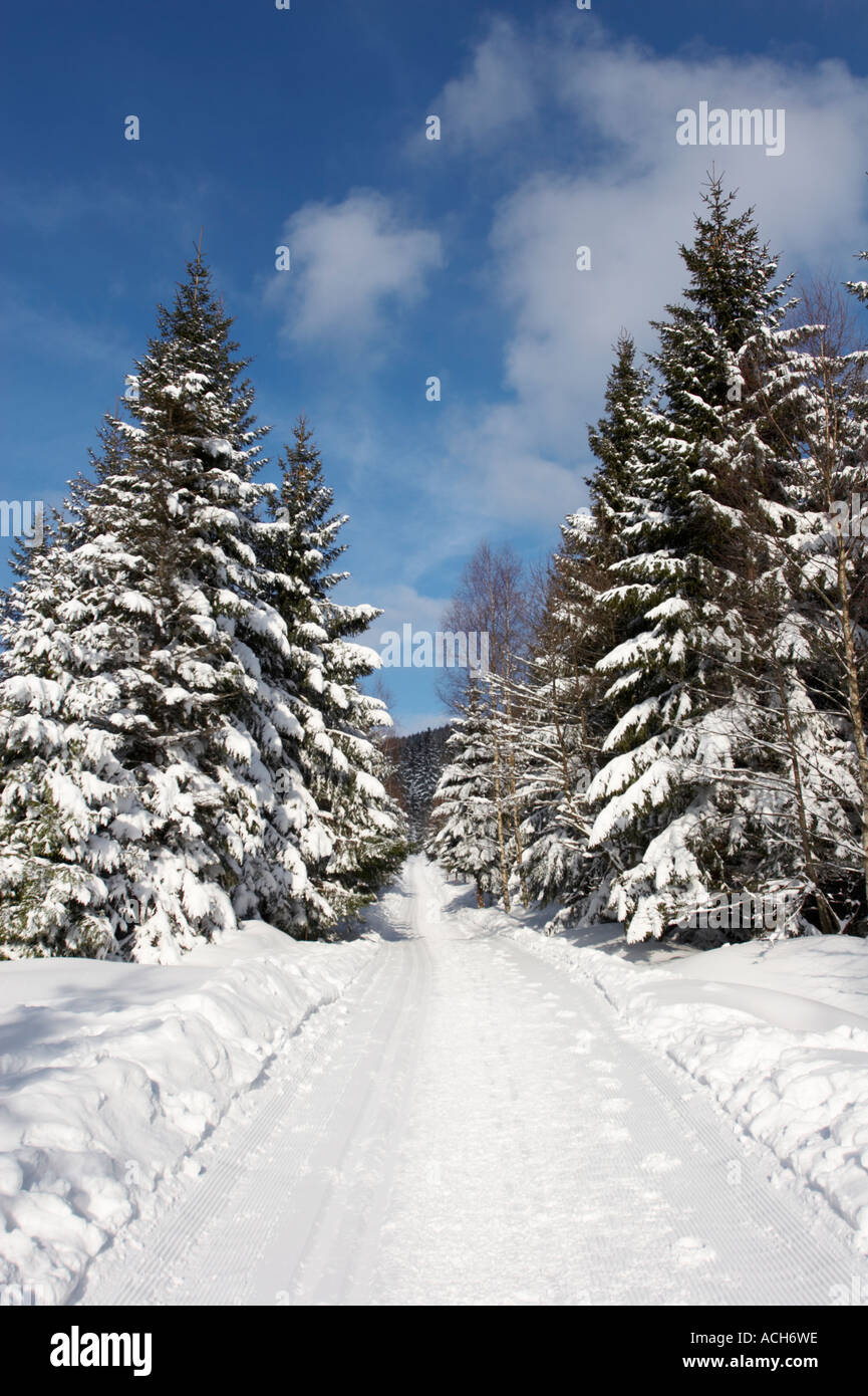 Winterly hiking trail to the Brocken Harz Stock Photo