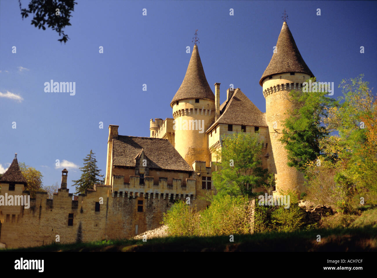 Puymartin castle Dordogne Aquitaine France Europe Stock Photo Alamy