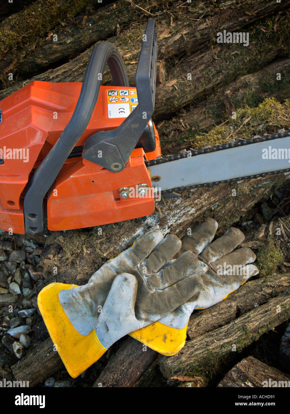 A chainsaw and heavy gloves on a pile of logs Stock Photo - Alamy