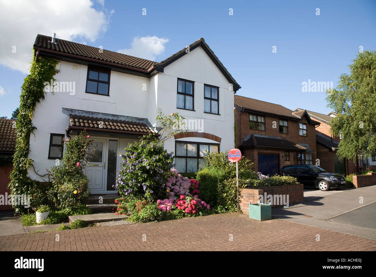 Modern house in rural estate with flowers in garden and for sale sign