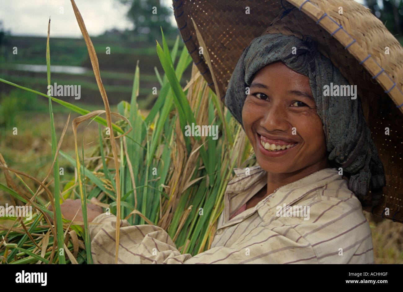 Women straw hats paddy field hi-res stock photography and images - Alamy