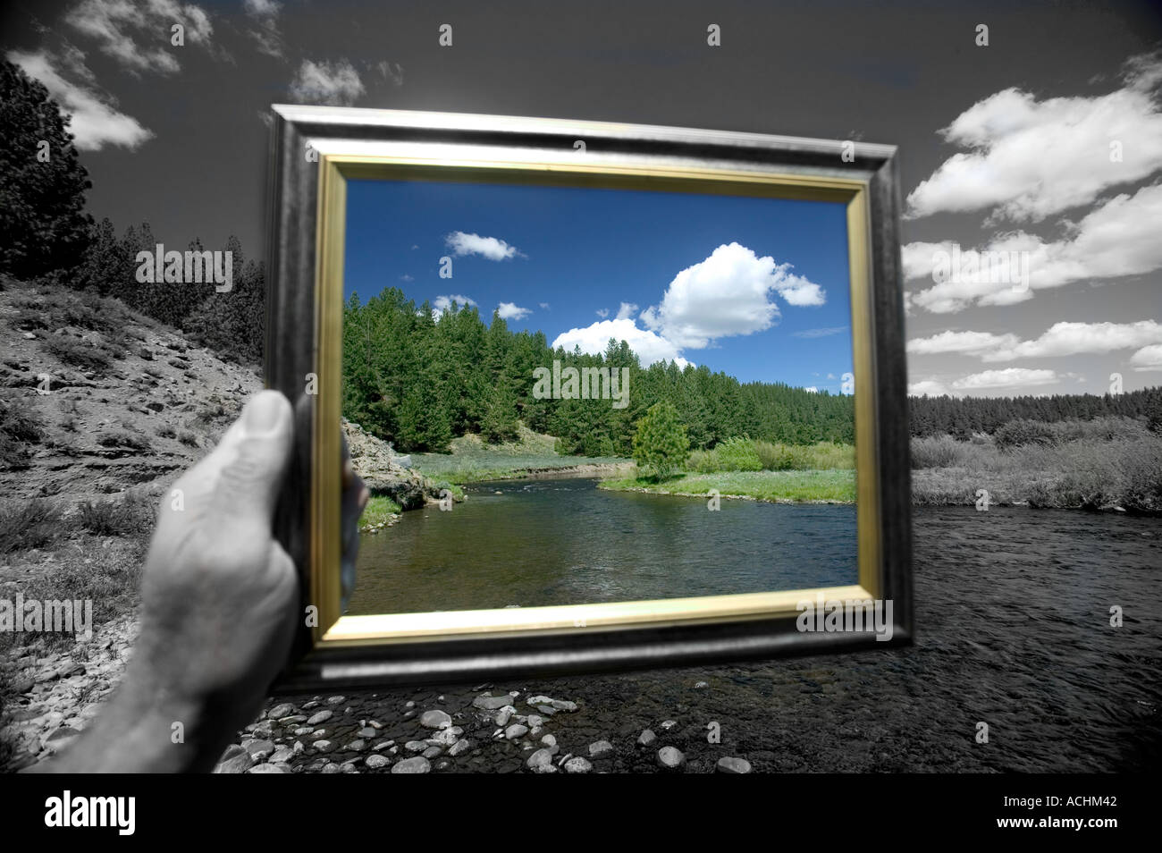 hand holding picture frame Stock Photo Alamy