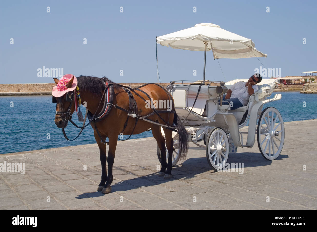 Horse and Carriage rides Chania Harbour Stock Photo
