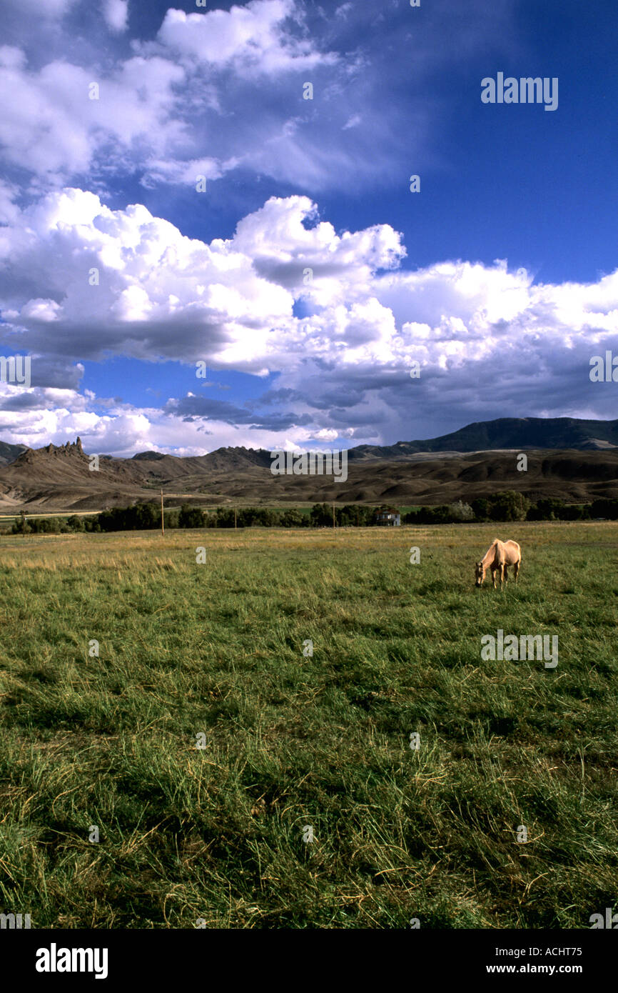 Scenic ranch hi-res stock photography and images - Alamy