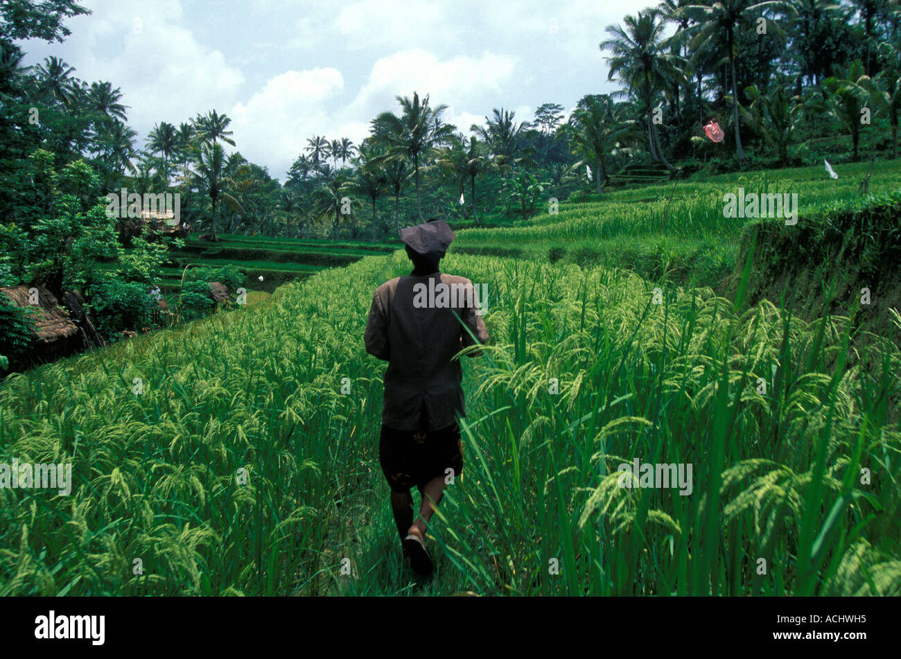 Field walks hi-res stock photography and images - Alamy