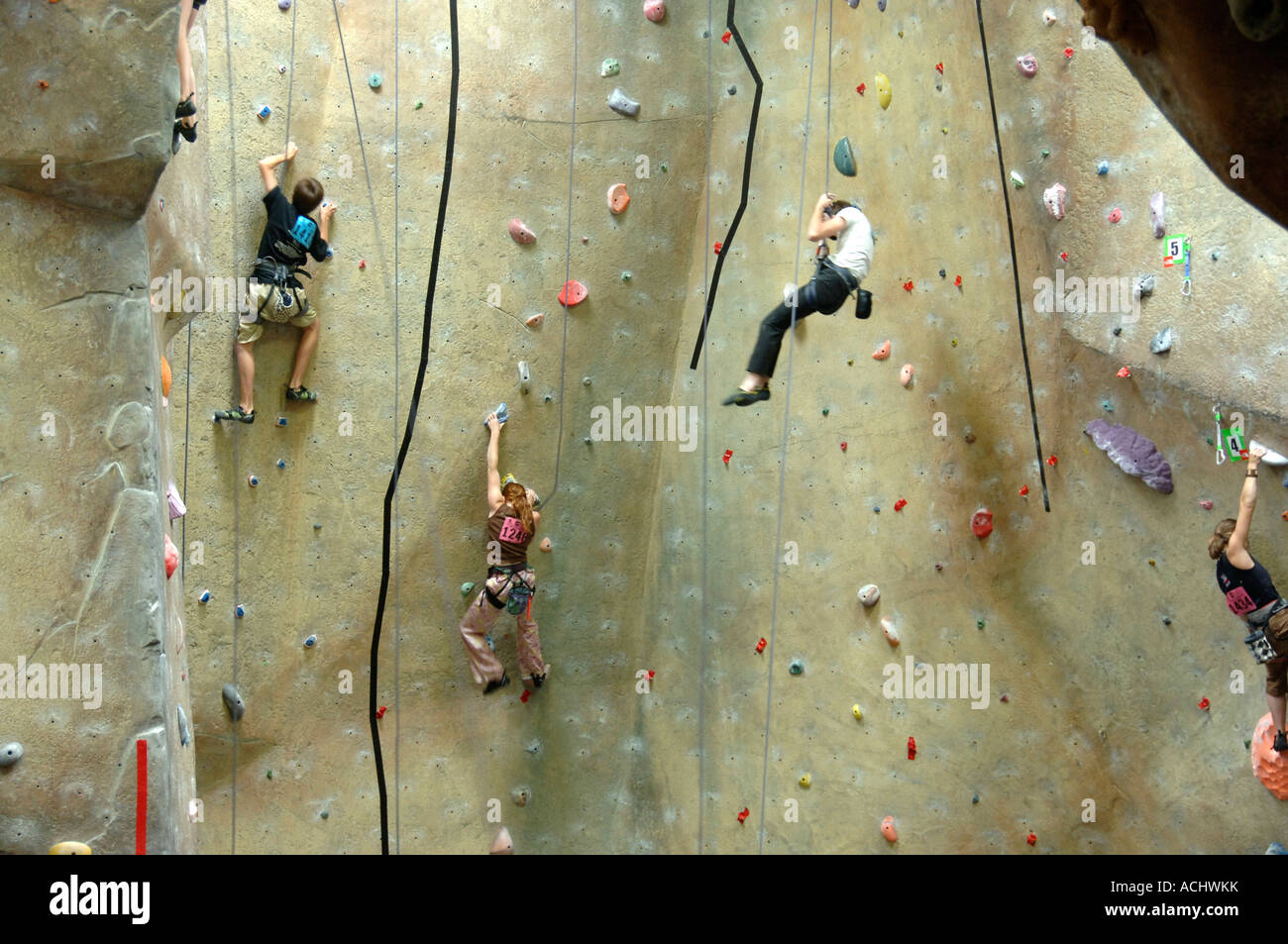 Young men and women climbing a wall at indoor climbing facility at a