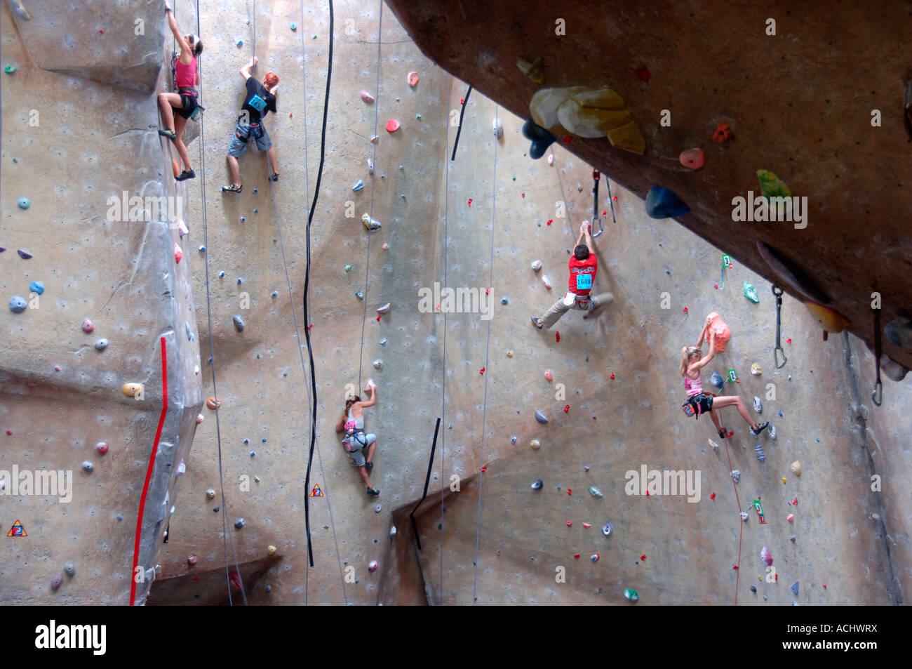 Young men and women climbing a wall at indoor climbing facility at a