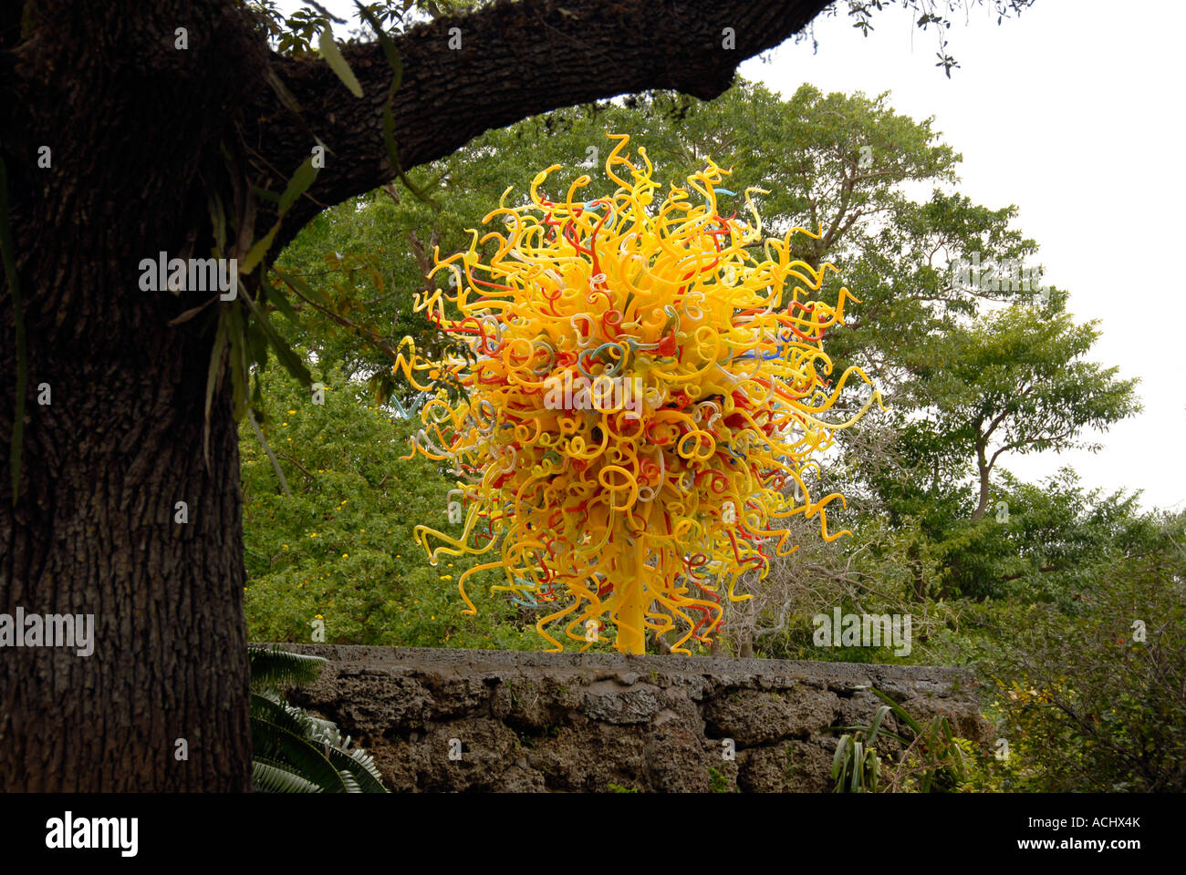 Dale Chihuly blown glass installation in Florida Stock Photo Alamy
