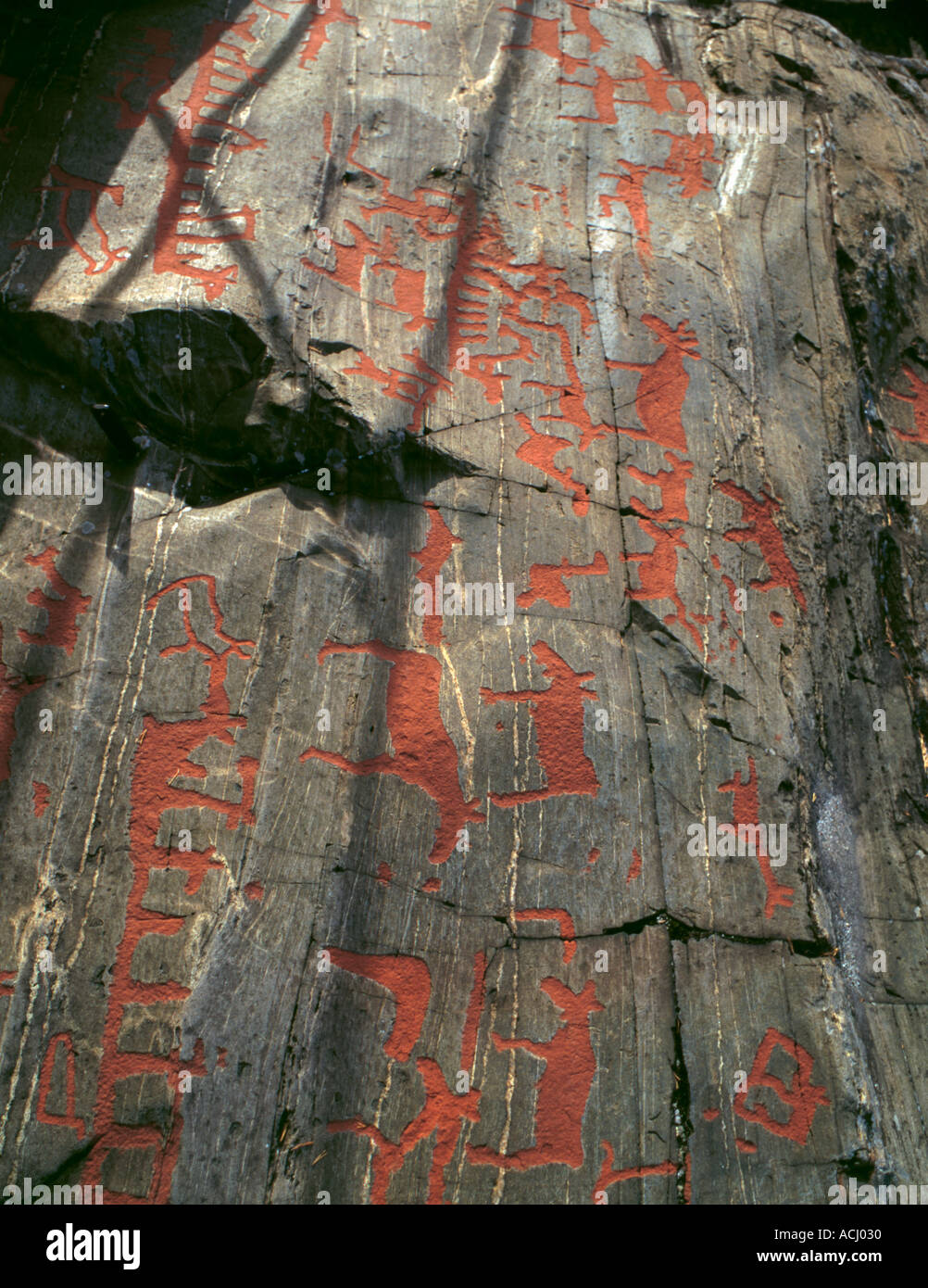 New Stone And Bronze Age Rock Carvings Nämforsen Näsåker