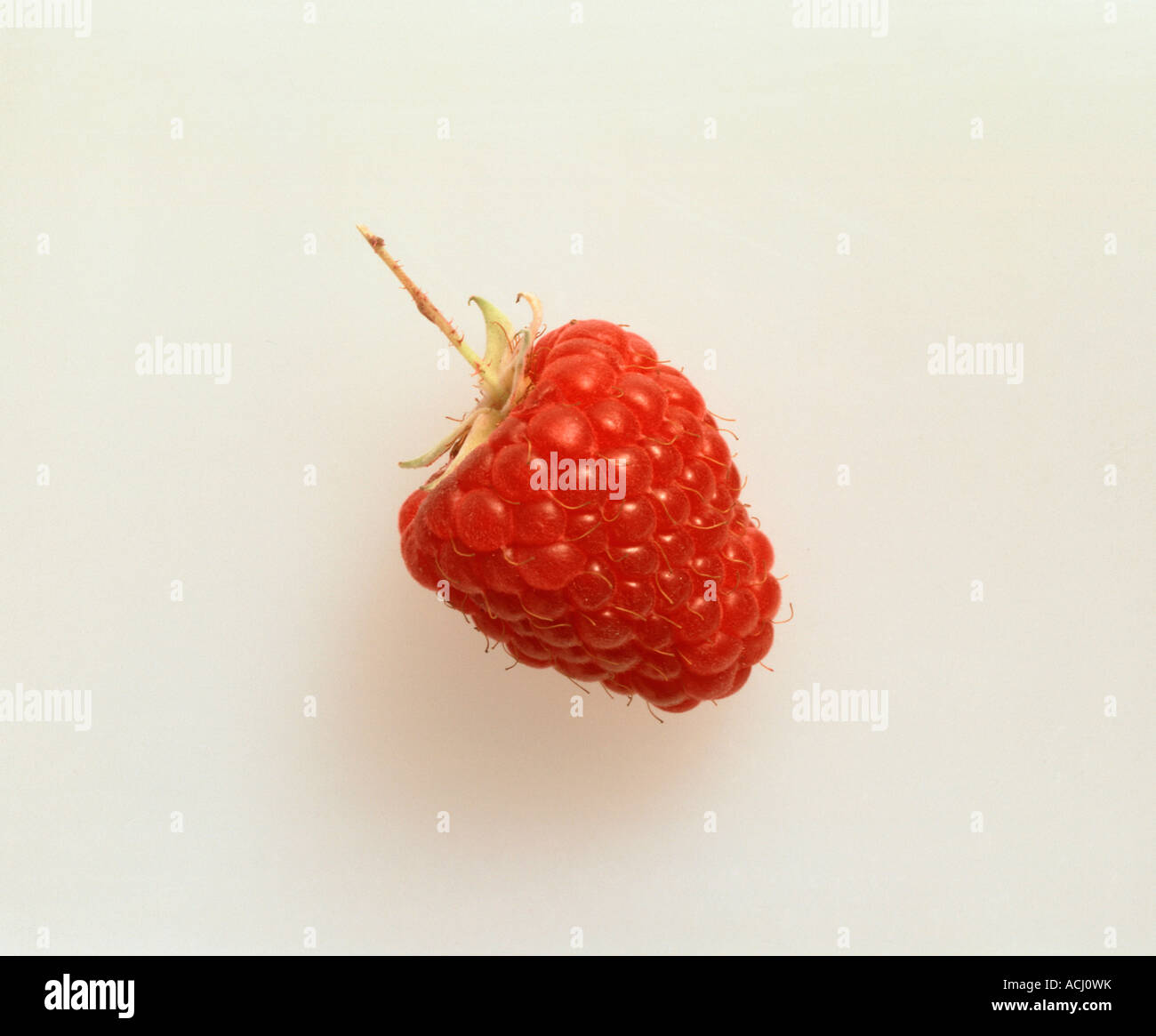 Exploded Raspberry Stock Photo Close-up on raspberry Stock Photo - Alamy
