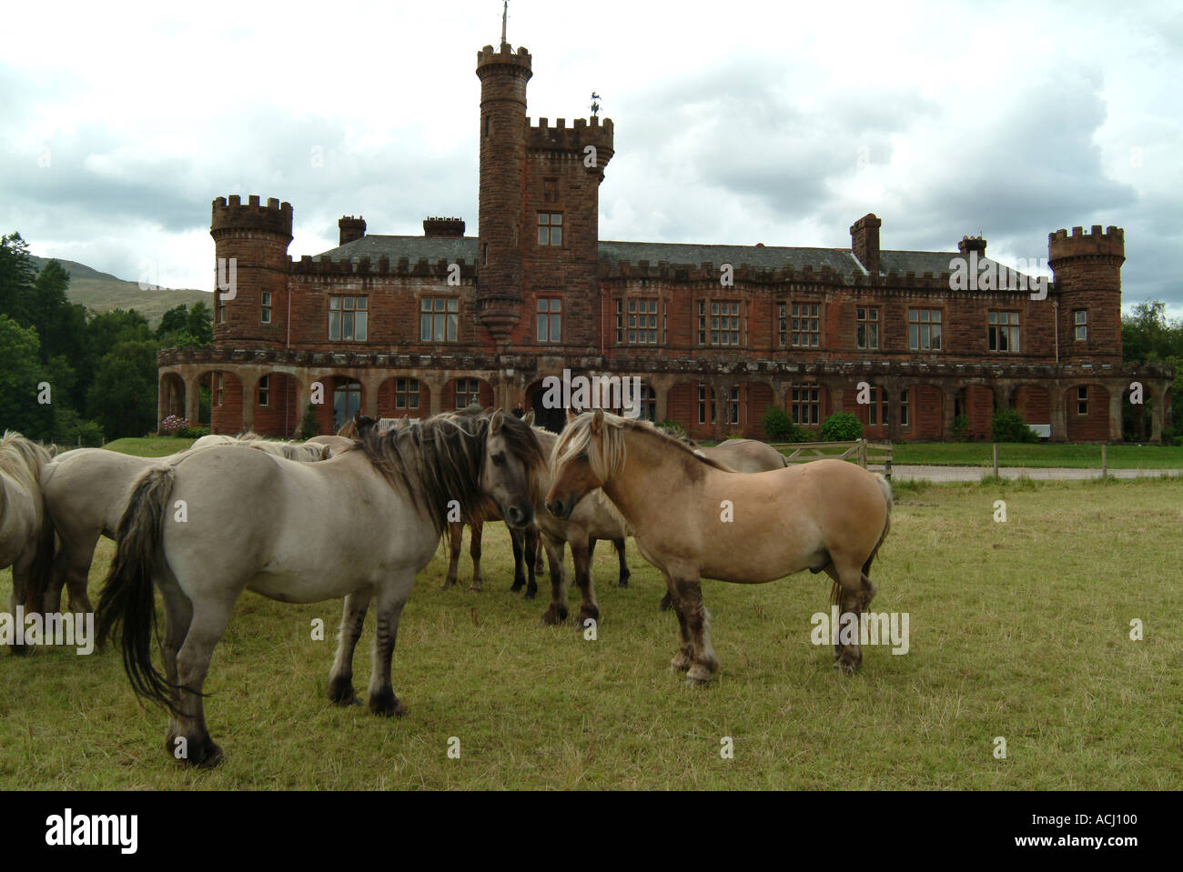 UK Scotland Island of Rum Kinloch Castle and Garron ponies Stock Photo
