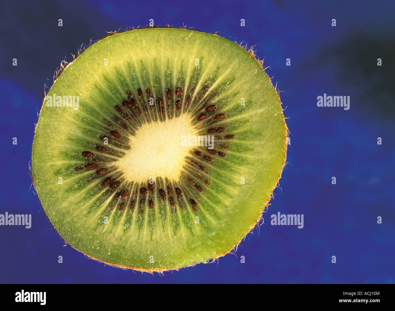 Kiwi view hi-res stock photography and images - Alamy