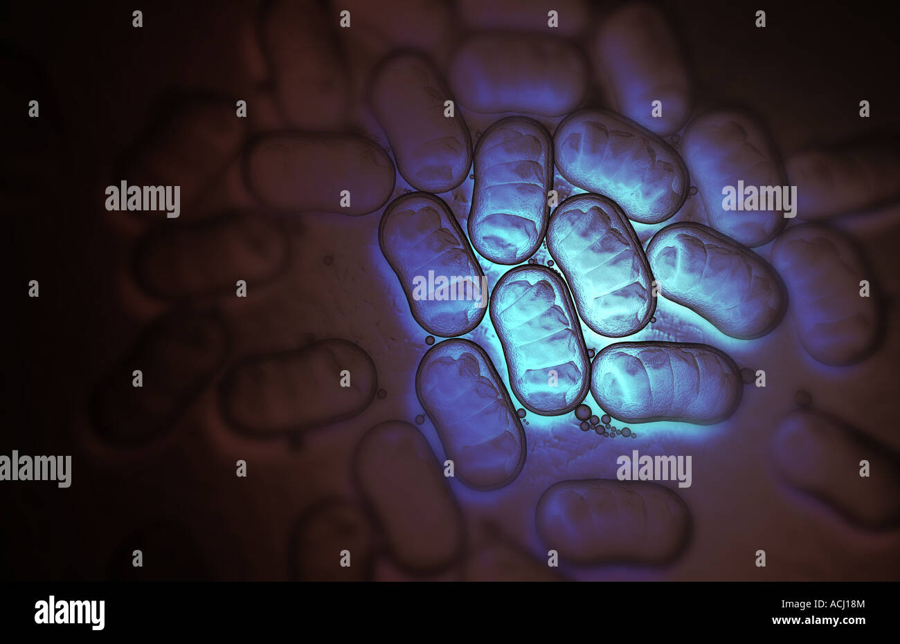 Generic bacterial cells Stock Photo Alamy