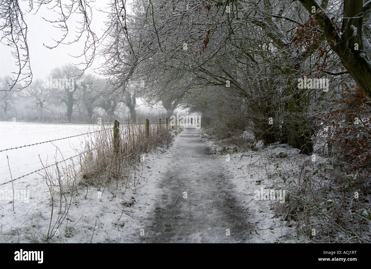 Snow covered landscape, Alderley Edge, Cheshire, UK Stock Photo Alamy