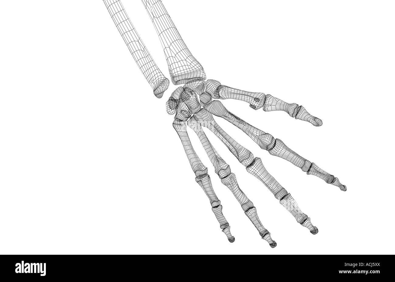 Skeleton hand Cut Out Stock Images & Pictures - Alamy