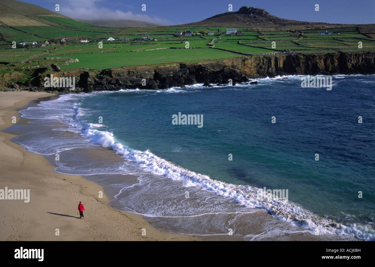 Person walking on Clogher Beach, beneath patchwork green fields. Dingle Peninsula, County Kerry, Ireland. Stock Photo