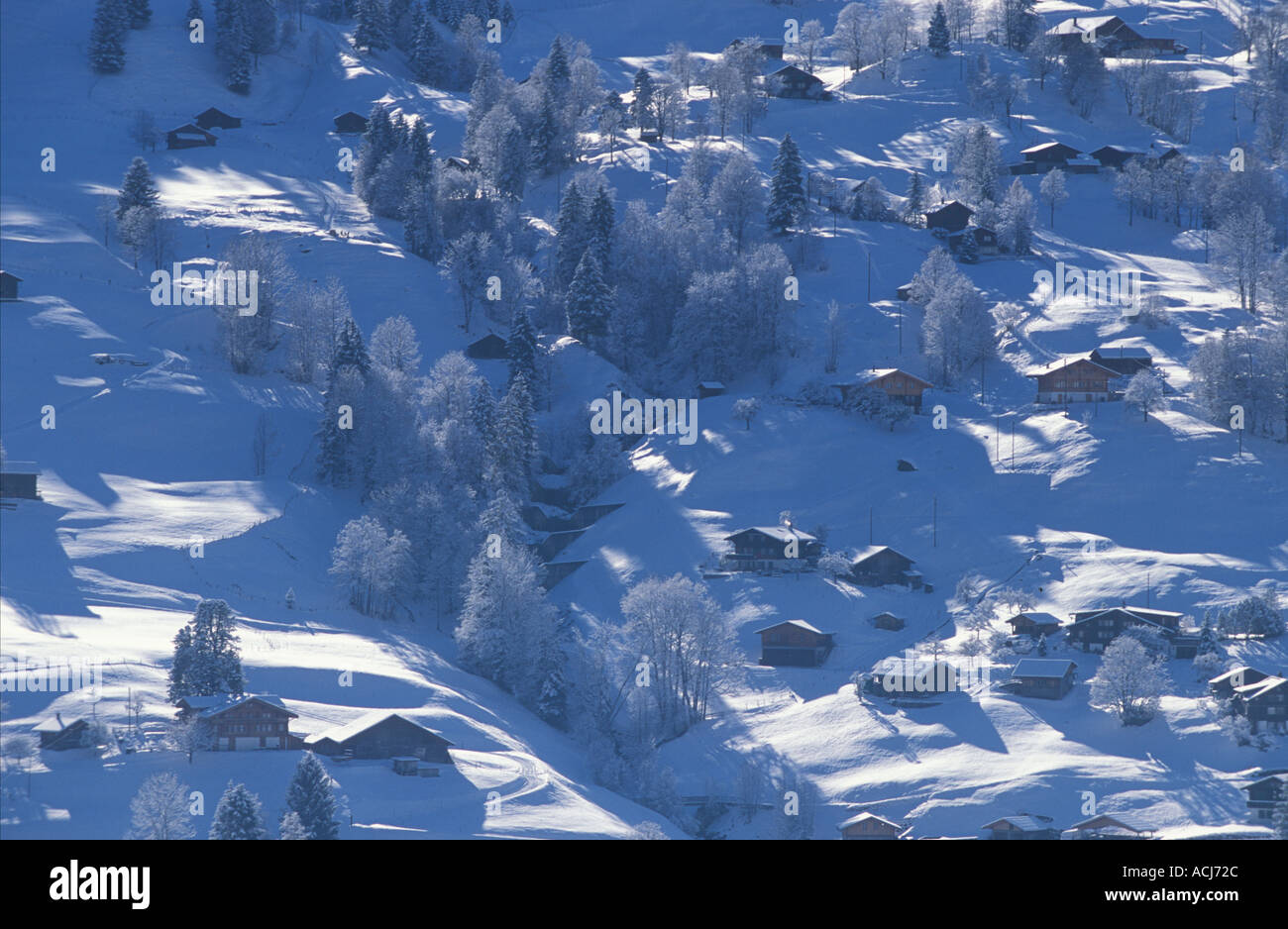 Grindelwald chalets and farmhouses winter Bernese Alps Switzerland Stock Photo