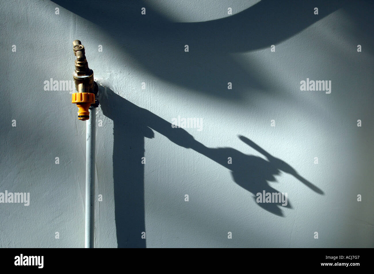 The shadow of a greenhouse water tap for watering a garden, with hose attachment, against a white painted wall Stock Photo