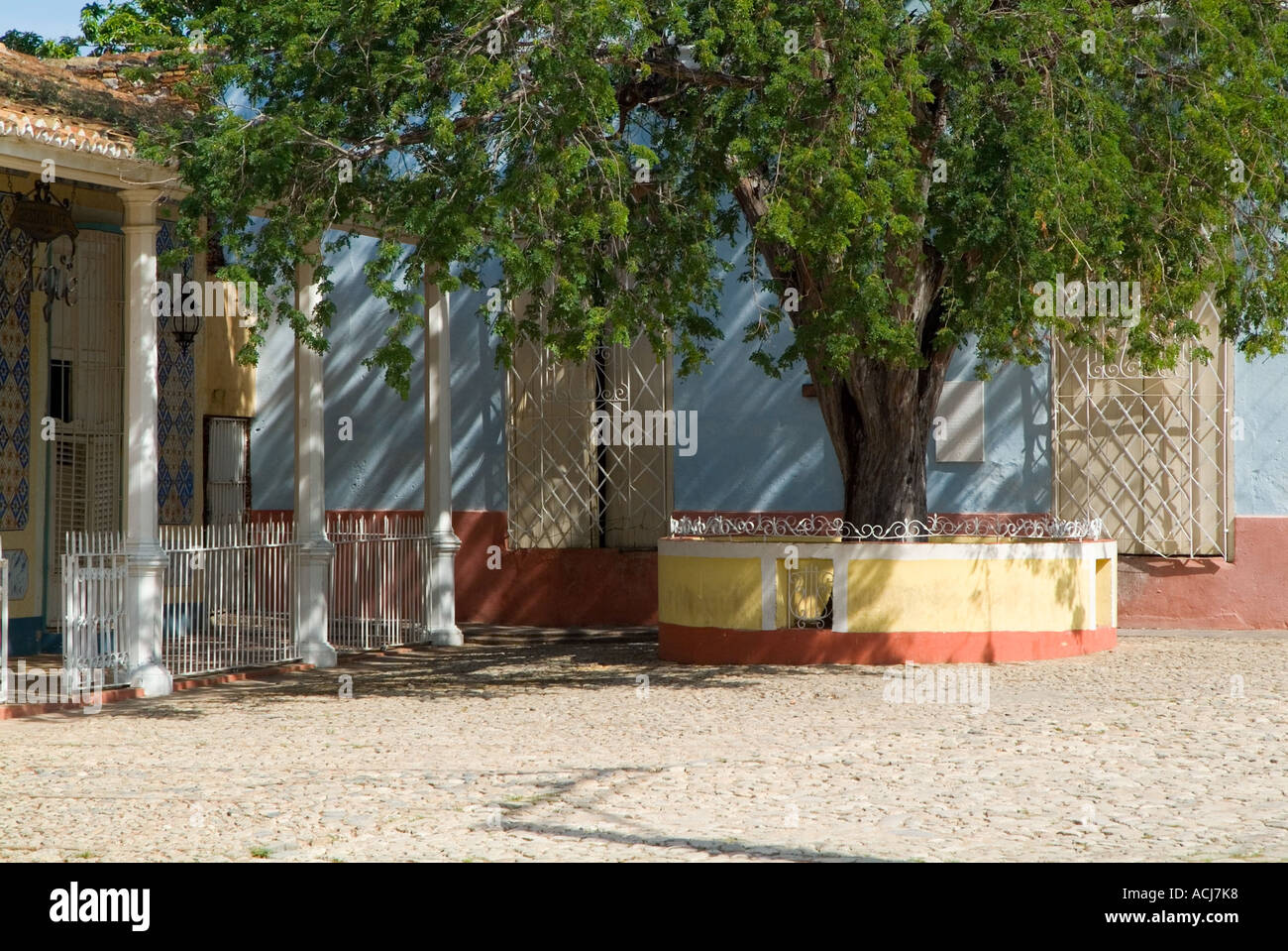 Tree providing shade in hi-res stock photography and images - Alamy