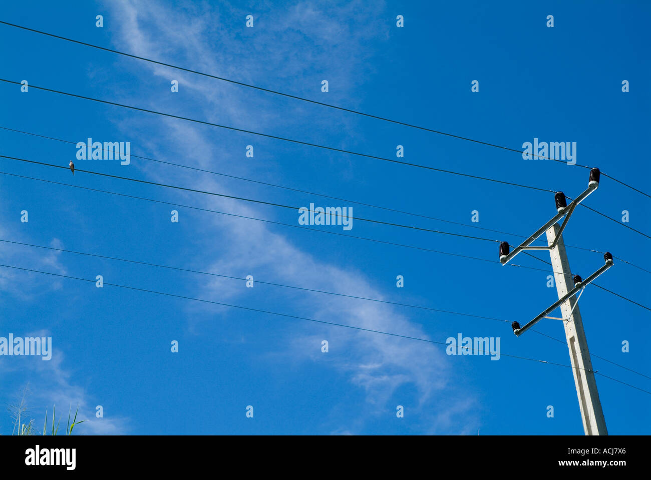 Electrical pylon and wires in Cuba Stock Photo Alamy