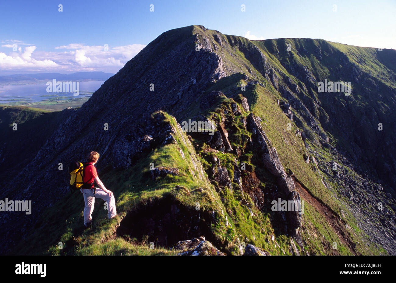 Mountain hiker on the Corranbinna Ridge, Nephin Beg Mountains, County Mayo, Ireland. Stock Photo