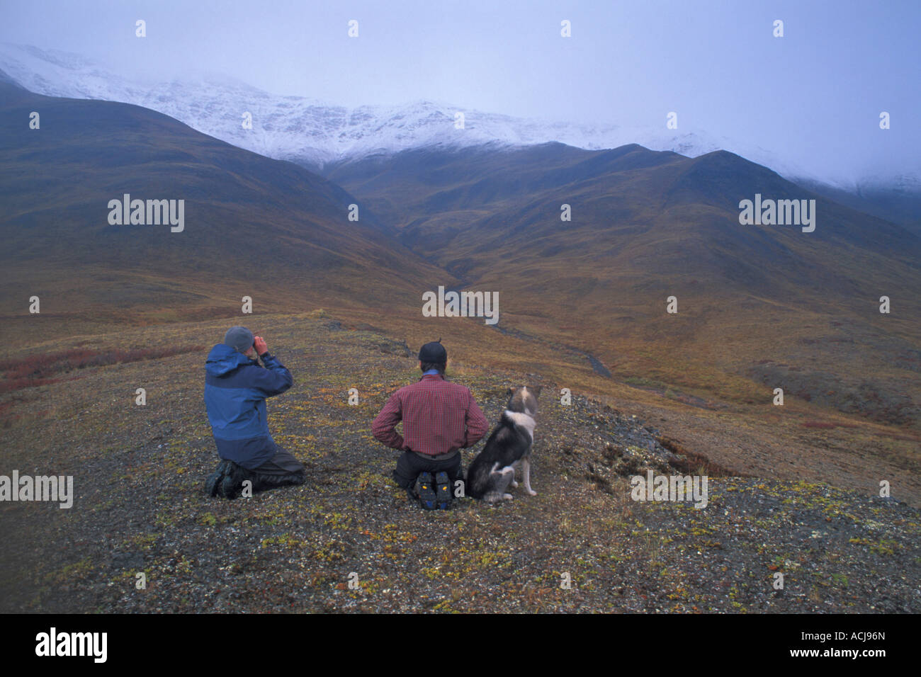 Caribou migration alaska hires stock photography and images Alamy