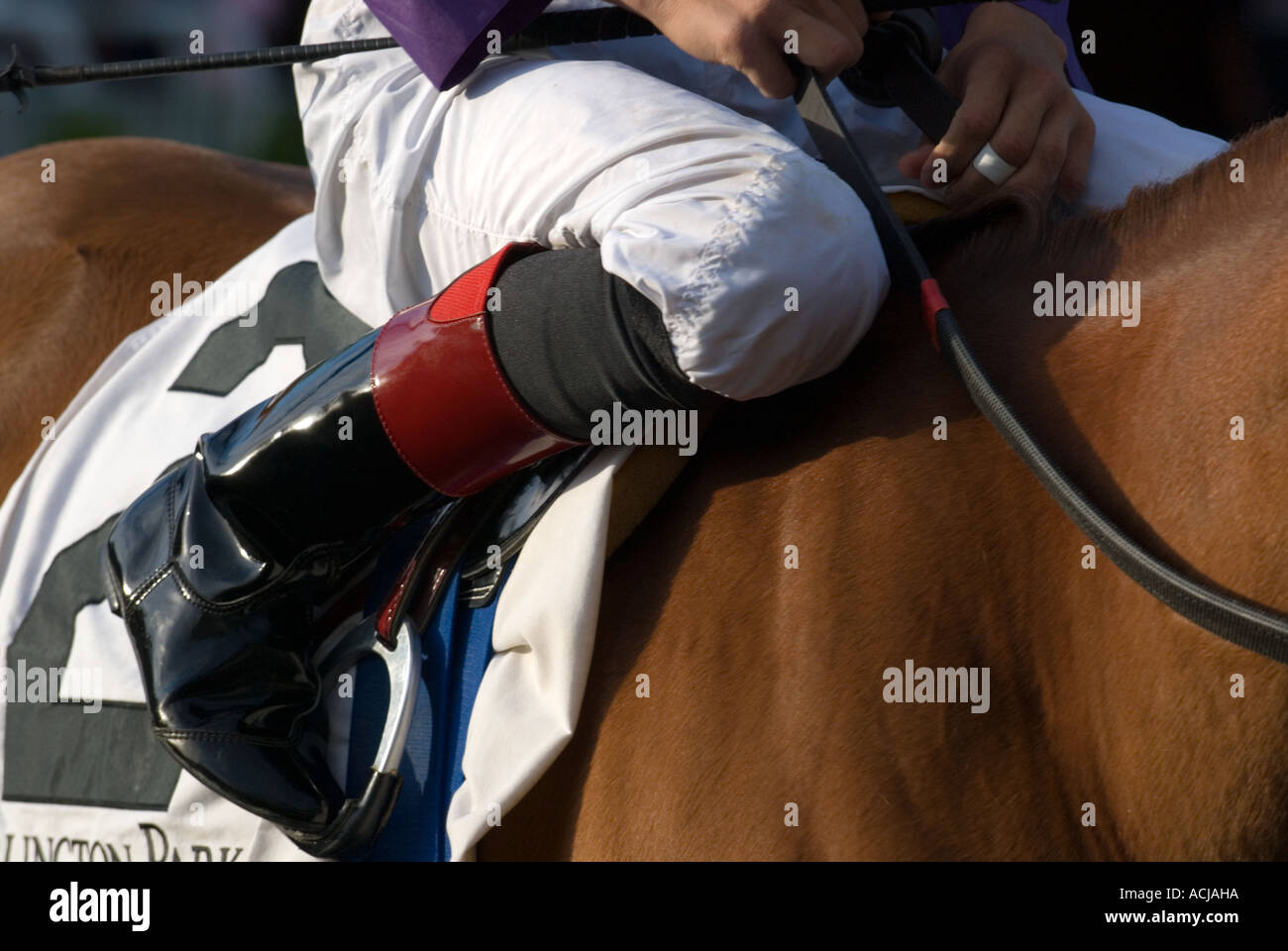 Jockey's Boot & Stirrup Stock Photo Alamy