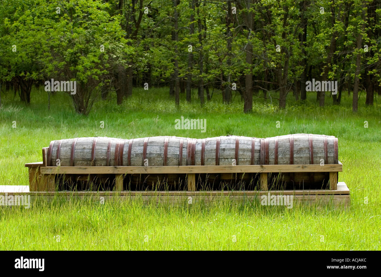 Whiskey Barrel Horse Jump Stock Photo Alamy