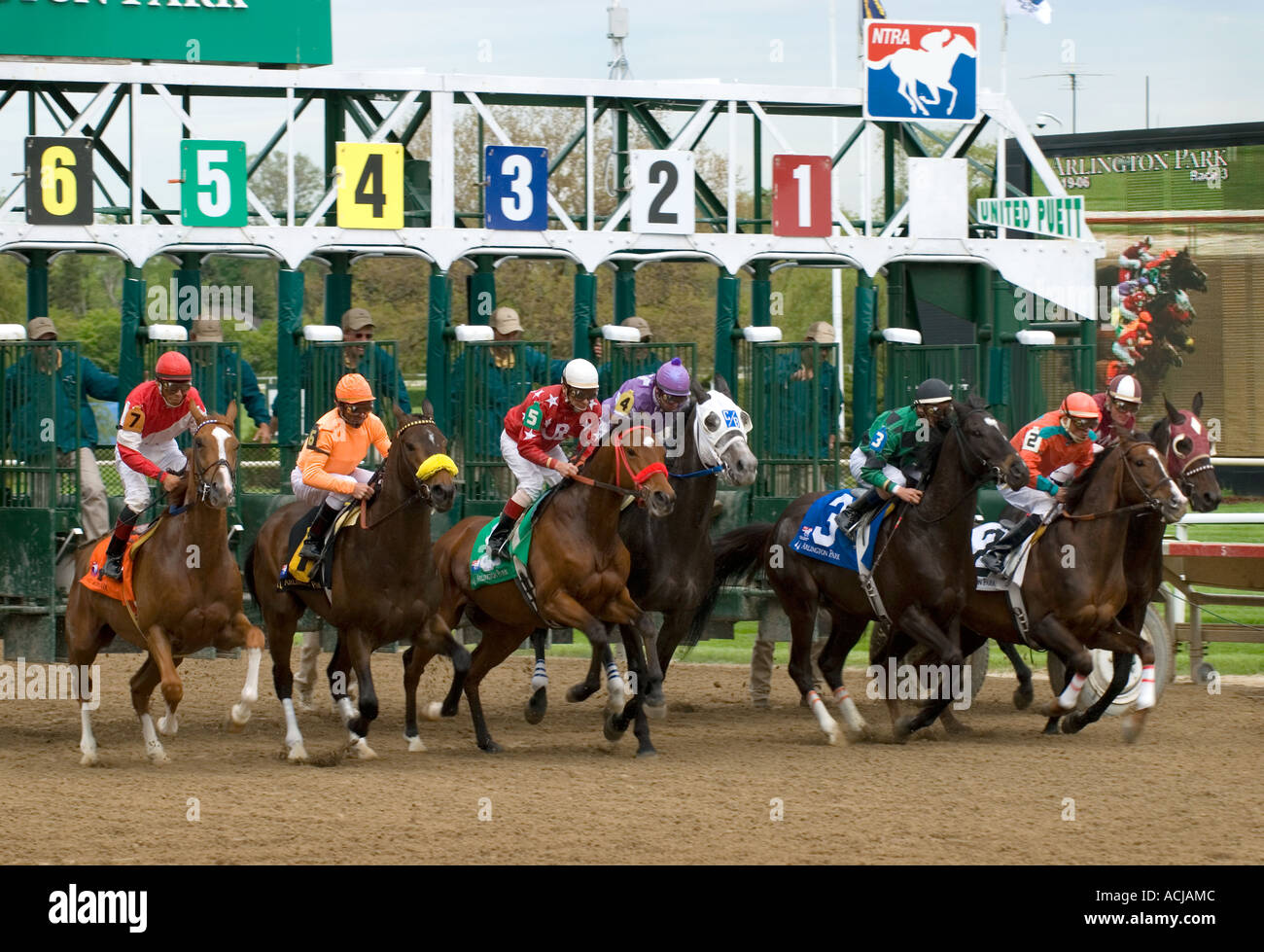 Race Horses Breaking from Starting Gate Stock Photo - Alamy