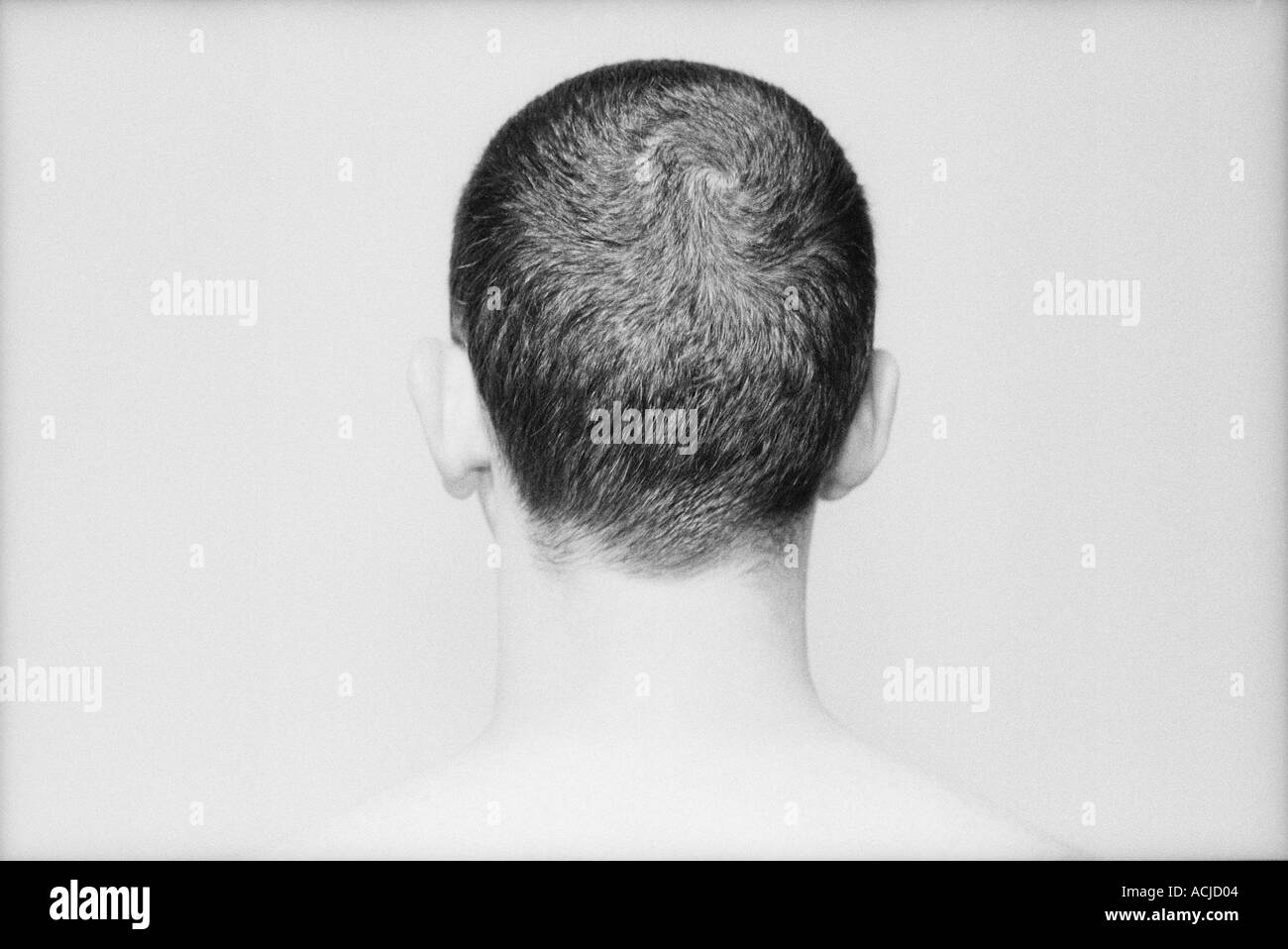 Boy Back Of Head Hair Black And White Stock Photos Images Alamy