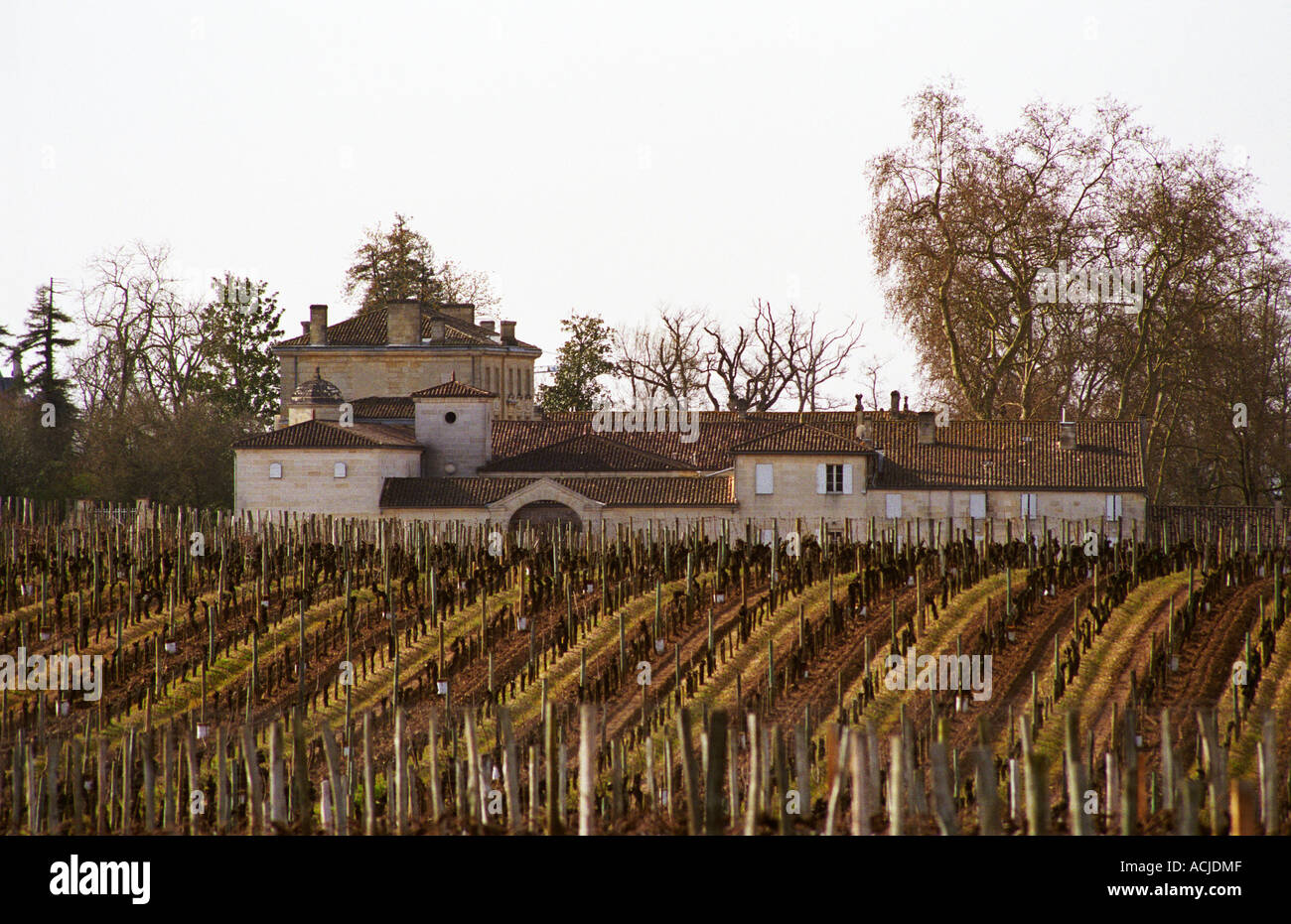 A view over the vineyard and chateau of Chateau Figeac in Saint Emilion in winter time when there are no leaves on the vines, St Émilion Gironde France Saint Émilion Bordeaux Gironde Aquitaine France Europe Stock Photo