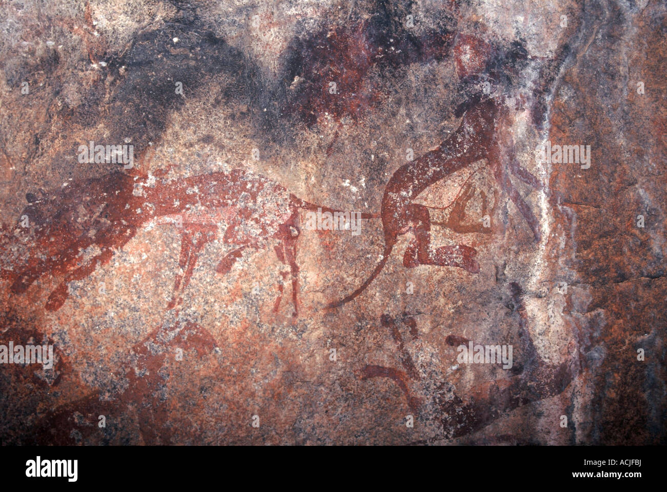 San Rock Art, Matobo Hill Stock Photo