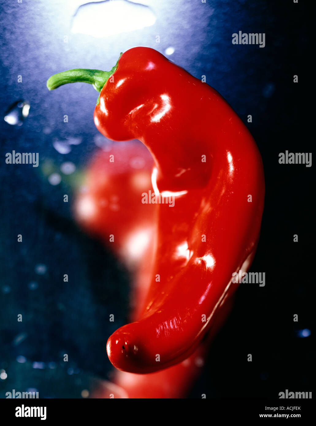 Red chili pepper outline hi-res stock photography and images - Alamy