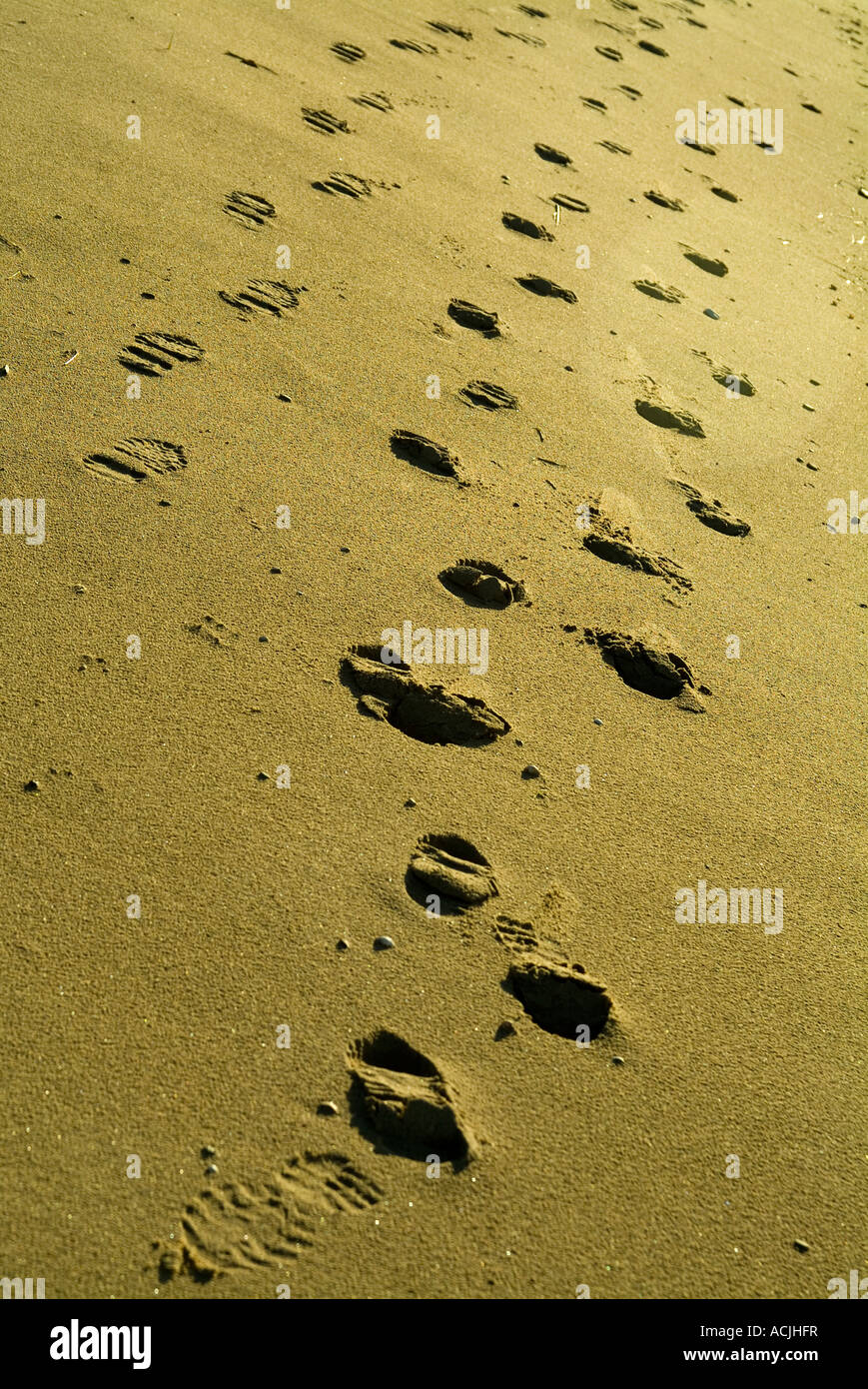 Hiking boot footprints in the sand at Spurn Point in the afternoon low sun in december Stock Photo