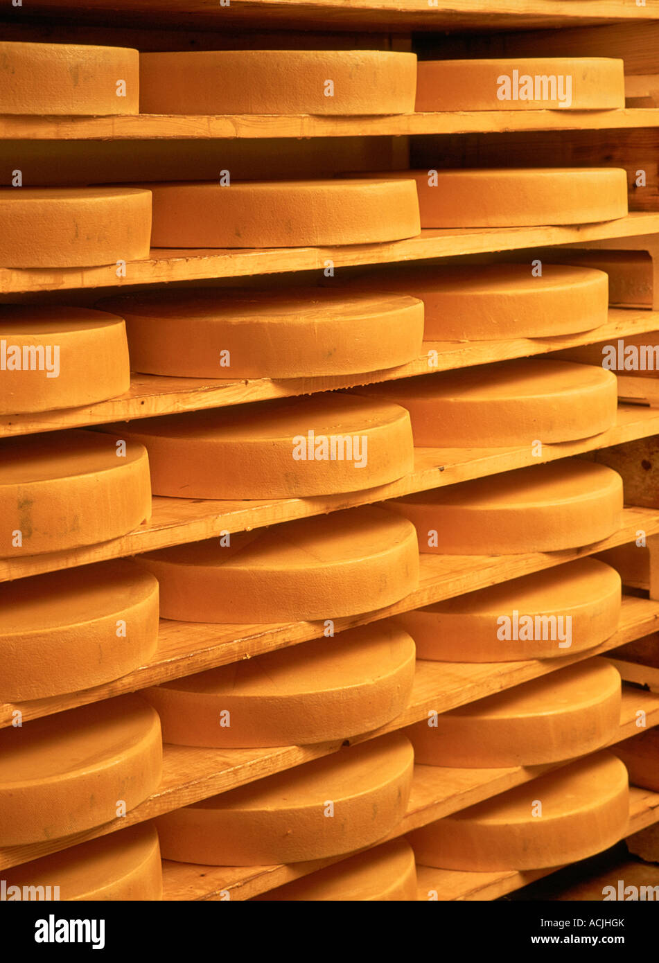 Cheese on display Stock Photo - Alamy
