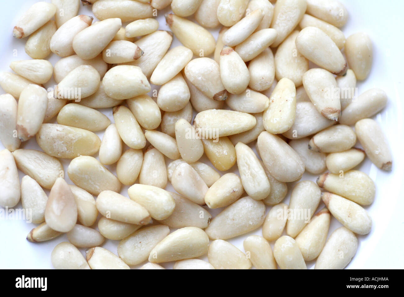 loose pine nuts Stock Photo Alamy