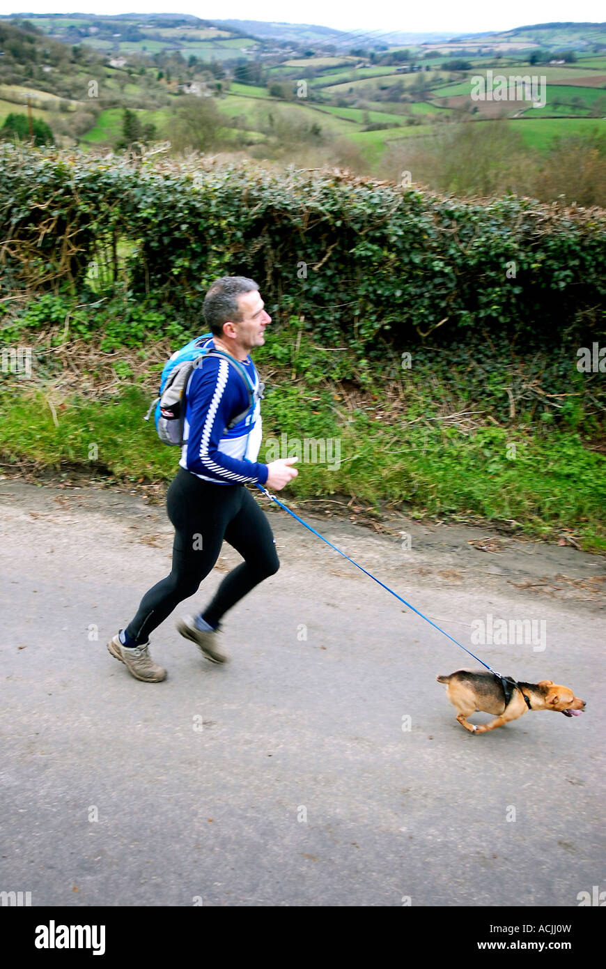 runner with a dog Stock Photo Alamy