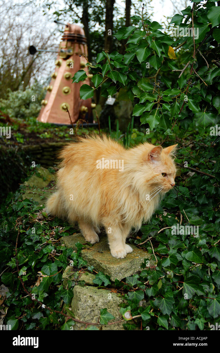pic martin phelps 25 03 06 lacock scarecrow trail Stock Photo Alamy