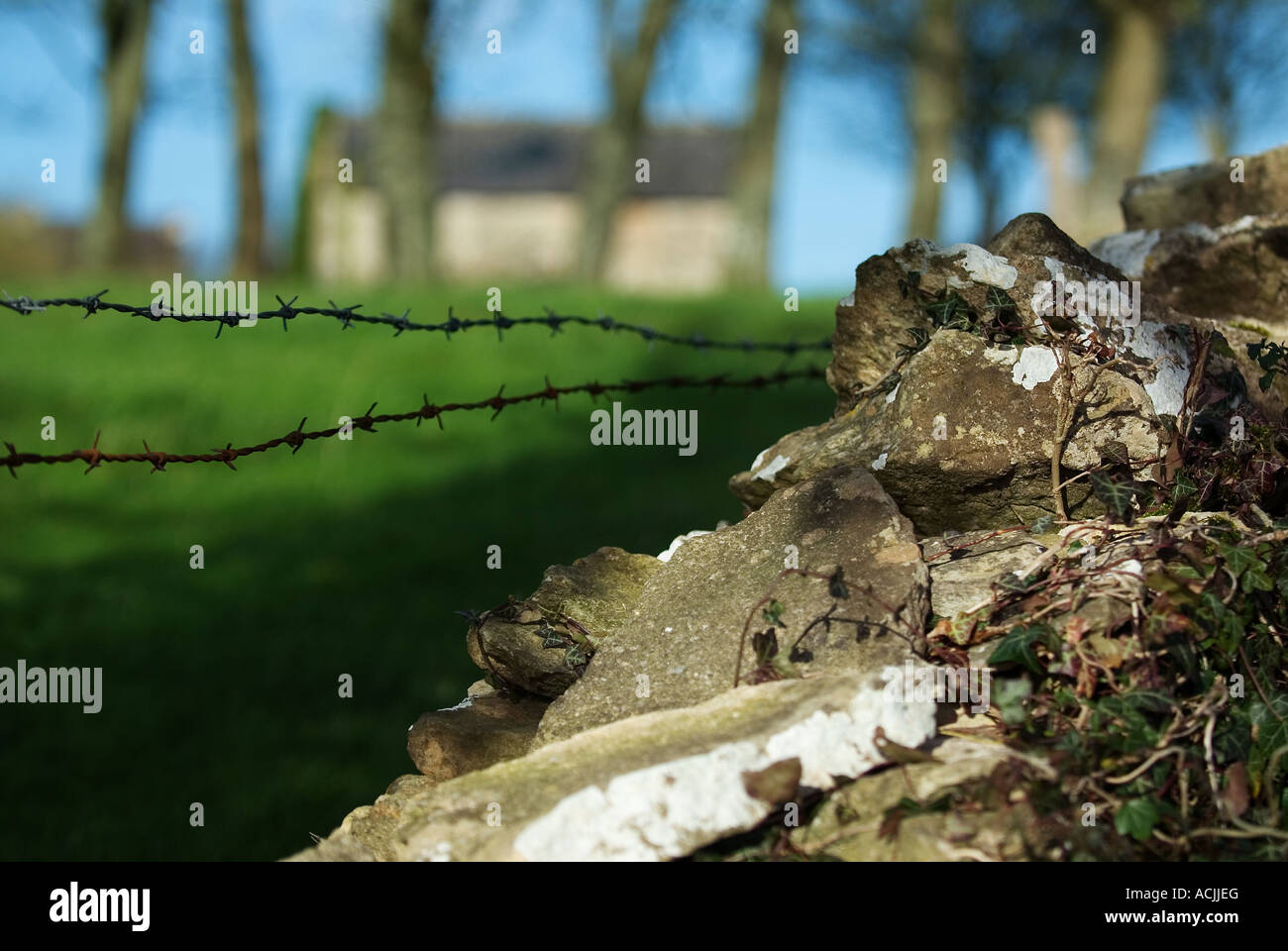 pic martin phelps 25 01 07 for bach homes marshfield south glos Stock