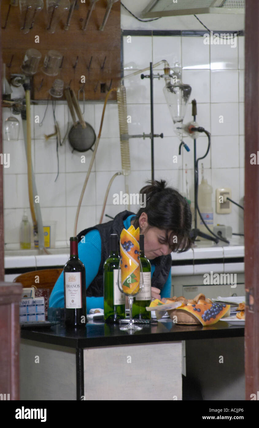 The winery laboratory with a lab technician doing analysis Bodega Plaza