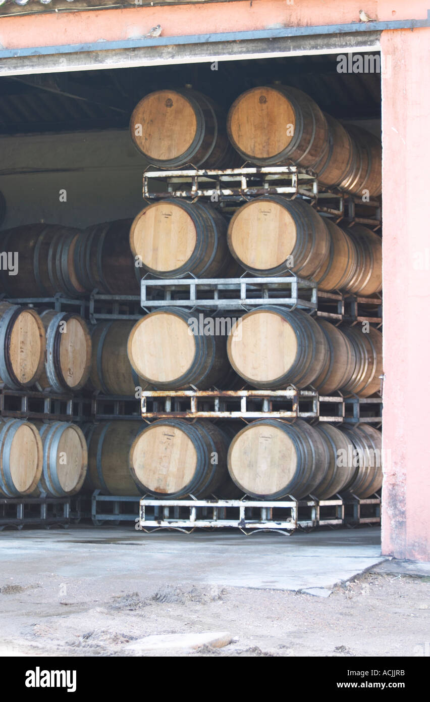 A barrel aging building with wooden barriques stacked high with aging ...