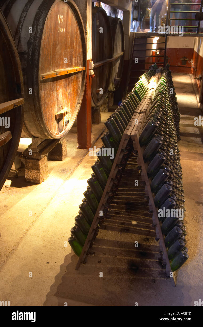 Inside the winery, old oak aging vats and pupitres for storing