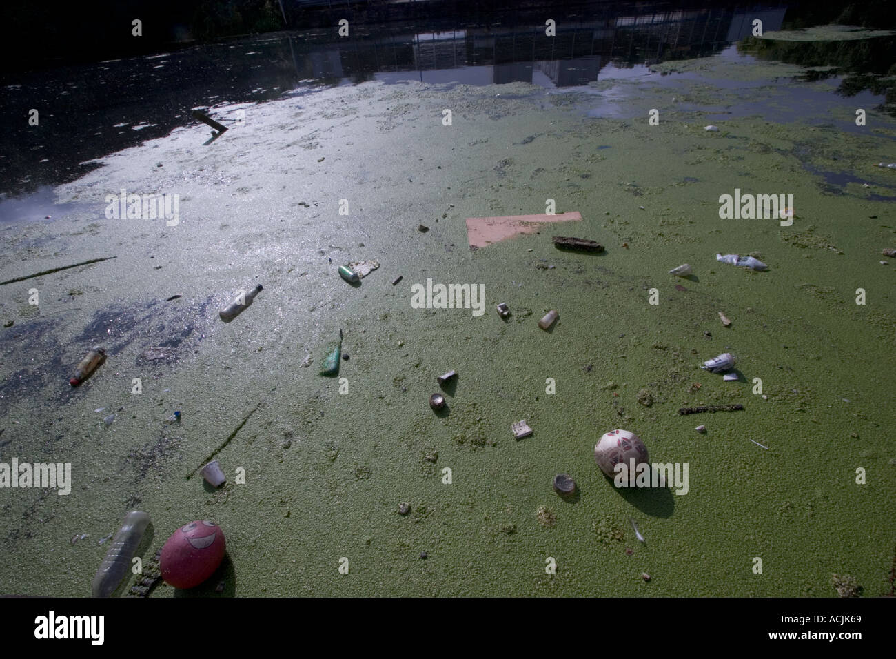 Polluted river with Algae alga litter trash and rubbish on the River Lea Lee navigation Clapton Stock Photo