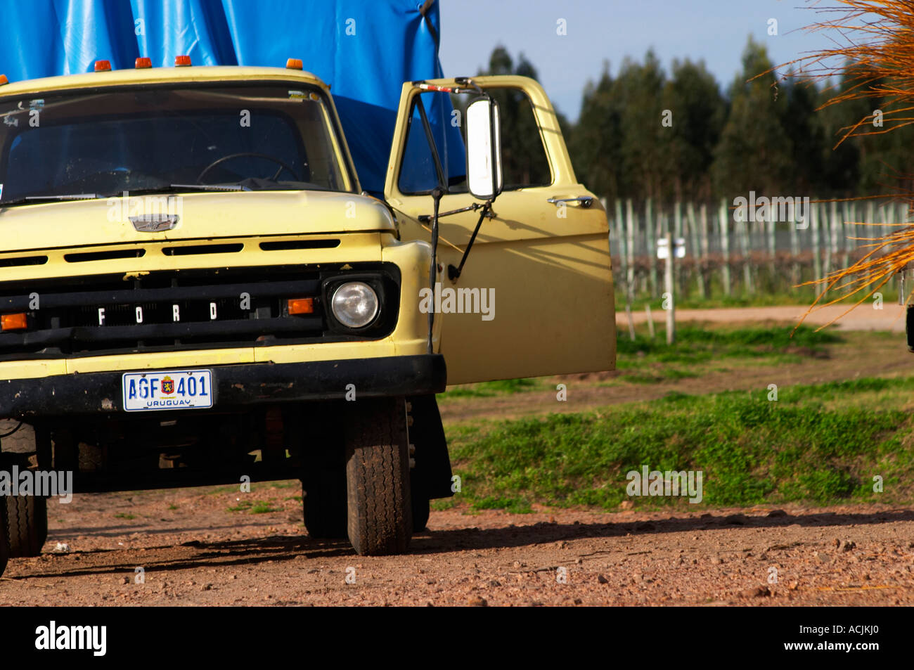 An Old Ford Truck Yellow With The Doors Open And With A