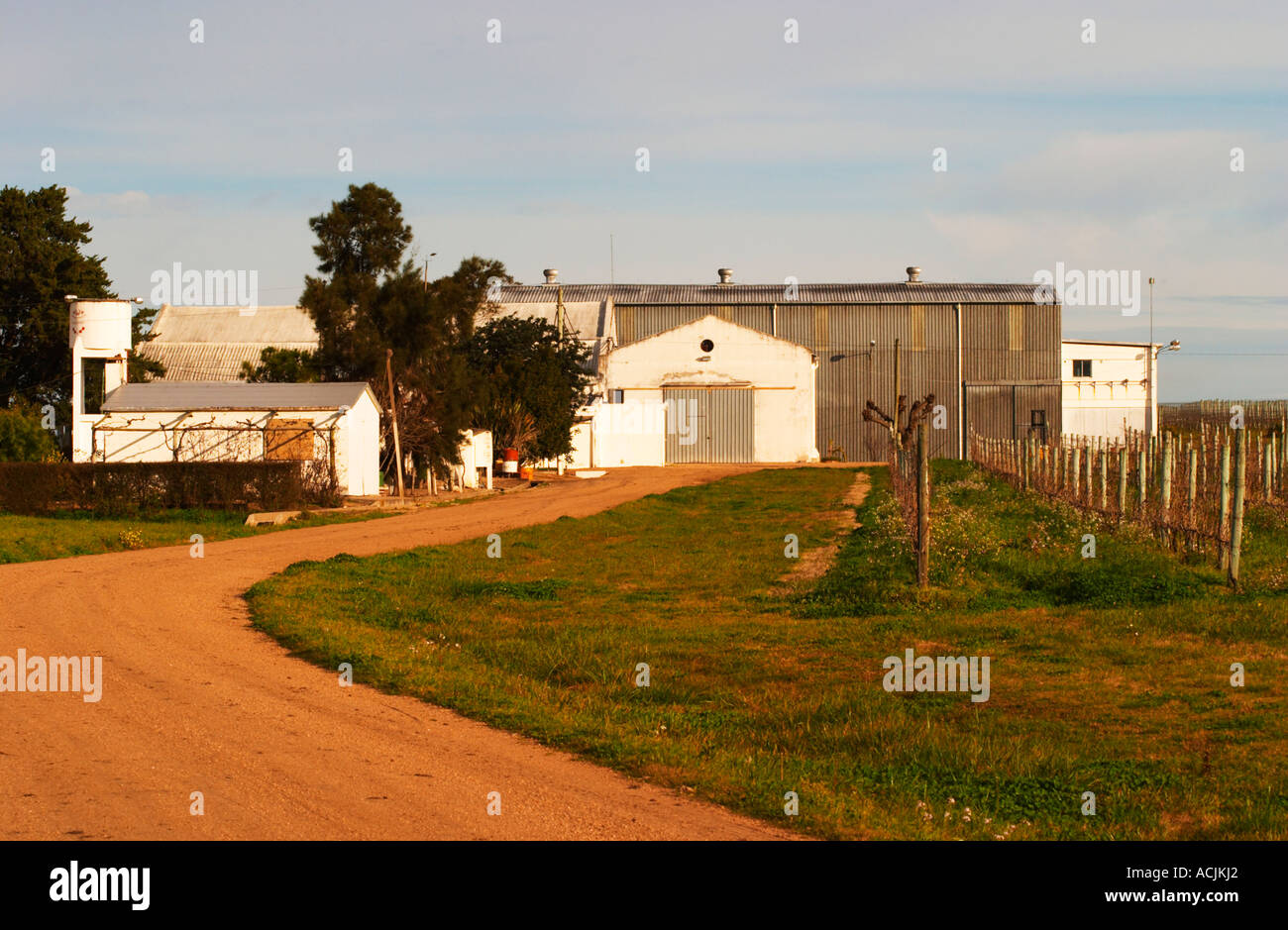 The winery building and the vineyard. Vinedos y Bodega Filgueira Winery, Cuchilla Verde, Canelones, Montevideo, Uruguay, South America Stock Photo