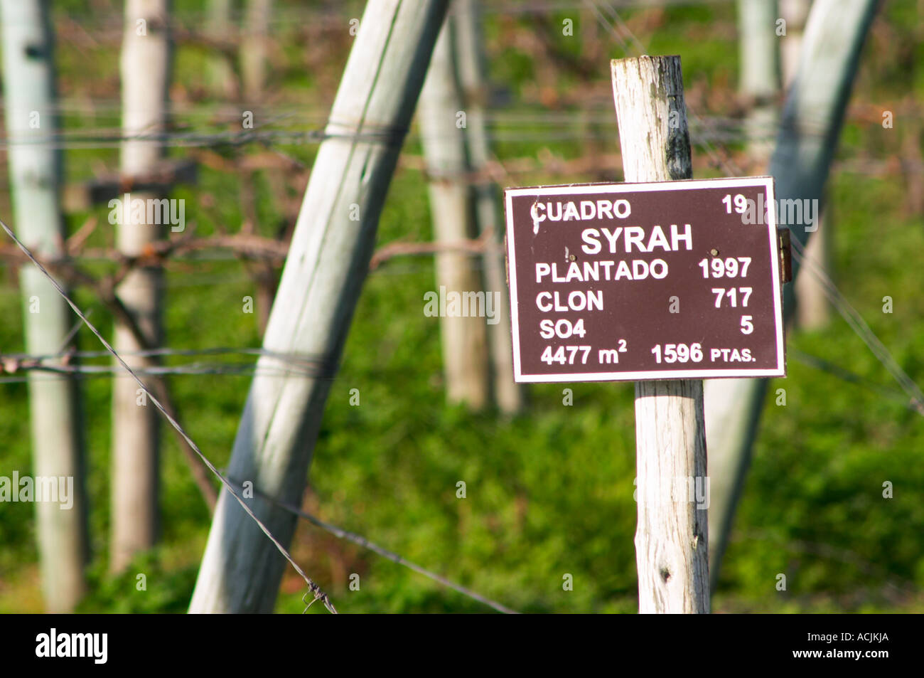 A sign in the vineyard showing that this plot is planted with Syrah Vinedos y Bodega Filgueira Winery, Cuchilla Verde, Canelones, Montevideo, Uruguay, South America Stock Photo