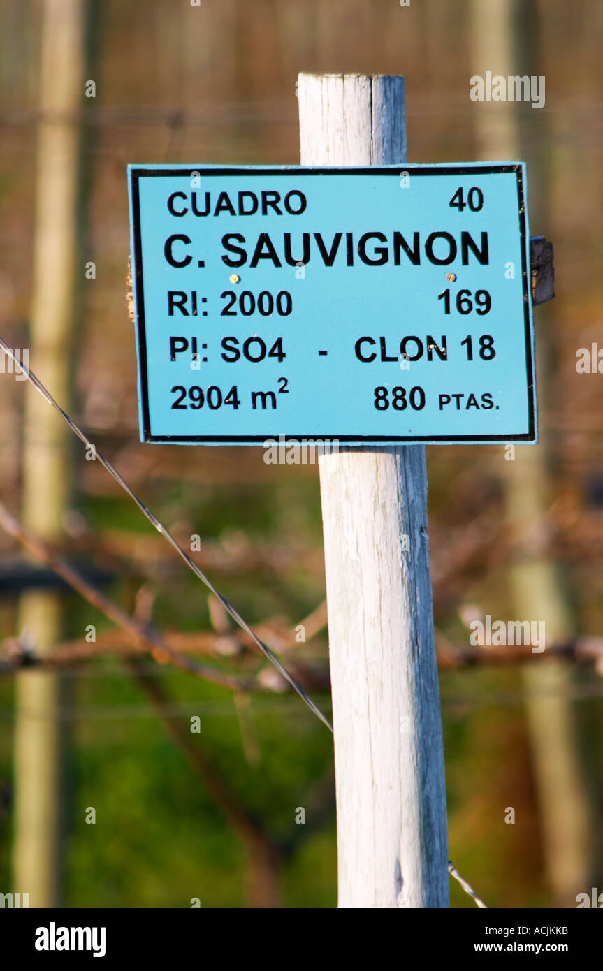 A sign saying that this plot is planted with Cabernet Sauvignon. Vinedos y Bodega Filgueira Winery, Cuchilla Verde, Canelones, Montevideo, Uruguay, South America Stock Photo