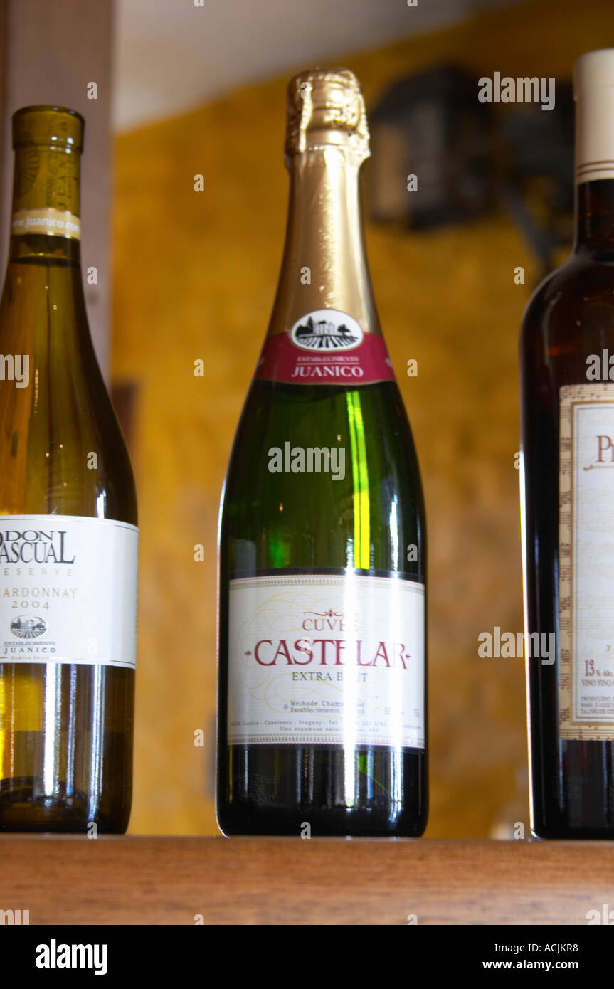 Bottle of the sparkling wine Cuvee Castelar Extra Brut Methode Champenoise (traditional method