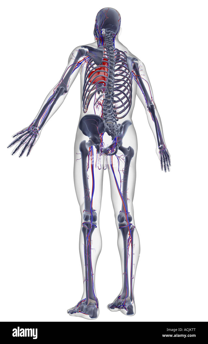 Understanding visual data 7
