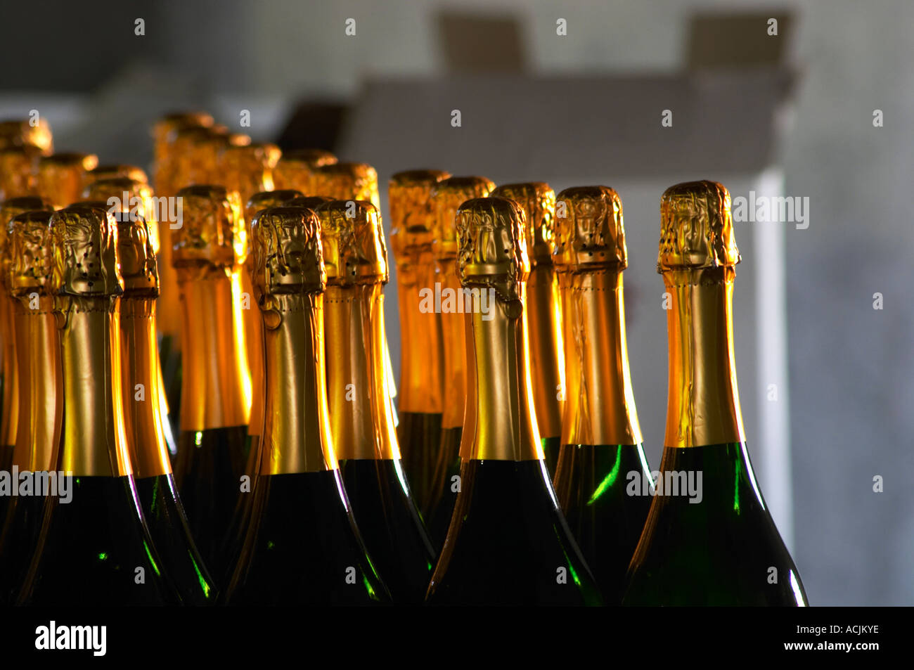 Bottles of sparkling wine, bottle necks with golden metal foil cover ...